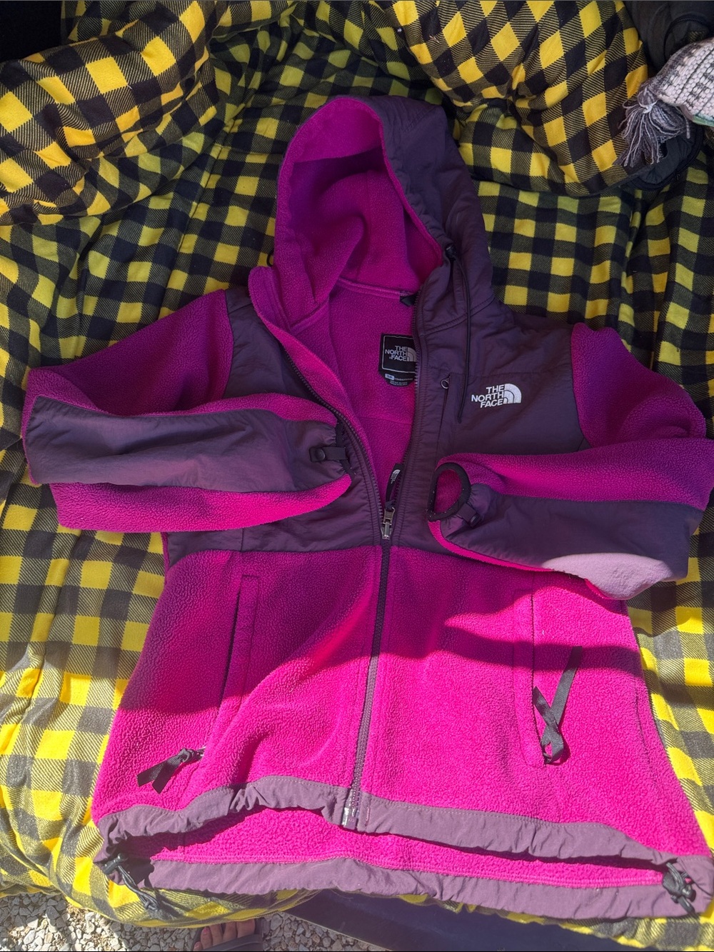 The North Face Magenta & Plum Hooded Fleece Jacket
